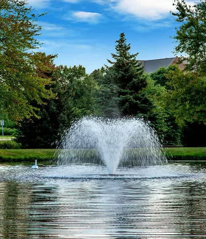 The Real Reasons Pond Fountains Fail And How to Avoid Them