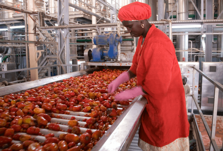 Top Industries Hiring in Senegal in 2026: Employment Opportunities and Market Trends